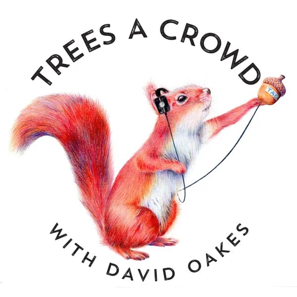 Cover art for Trees A Crowd