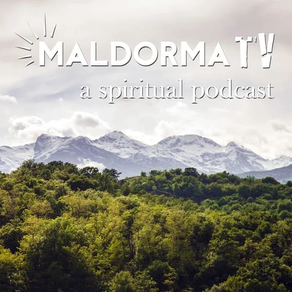Cover art for Maldorma TV