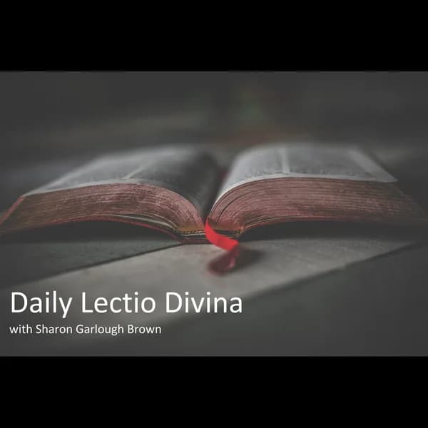 Cover art for Daily Lectio Divina