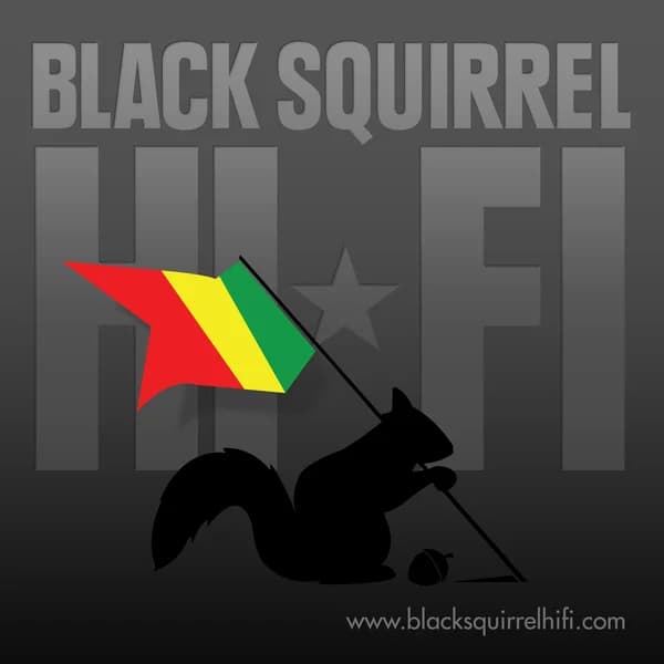 Cover art for Black Squirrel Hi-Fi