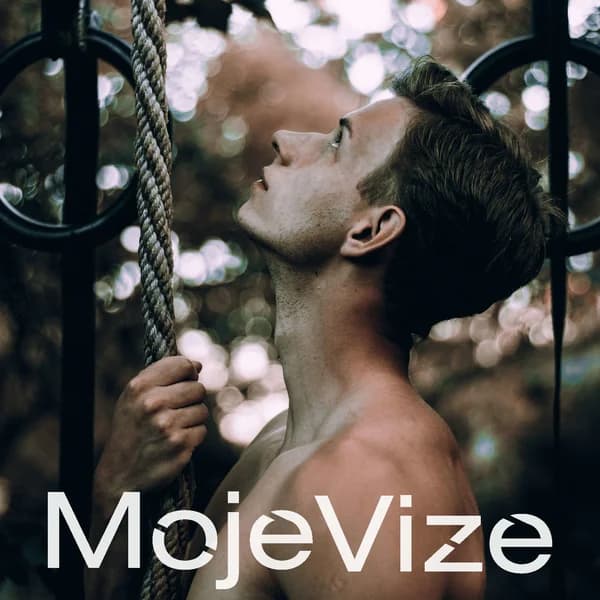 Cover art for MojeVize