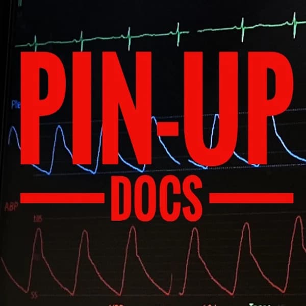 Cover art for pin-up-docs – don't panic