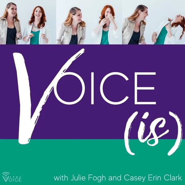 Cover art for Voice Is