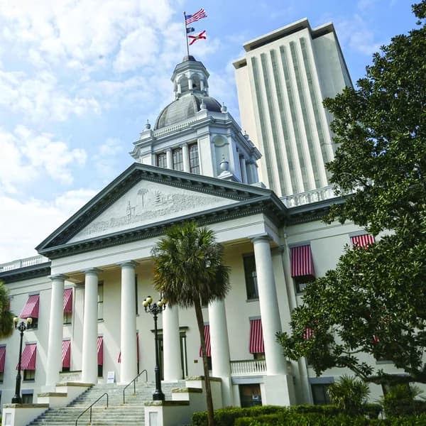 Cover art for Sunshine on Issues: Reports from Tallahassee