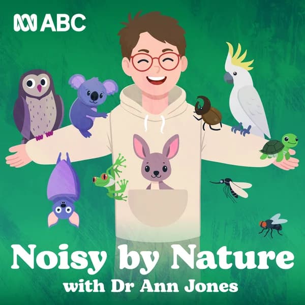 Cover art for Noisy by Nature