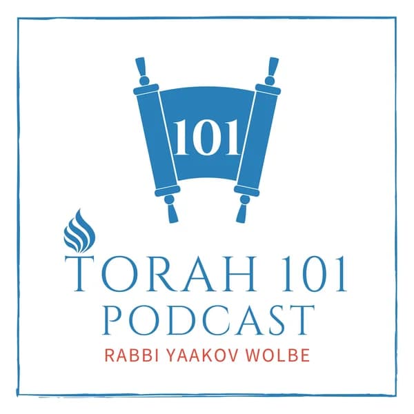 Cover art for TORAH 101 - With Rabbi Yaakov Wolbe