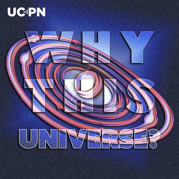 Cover art for Why This Universe?