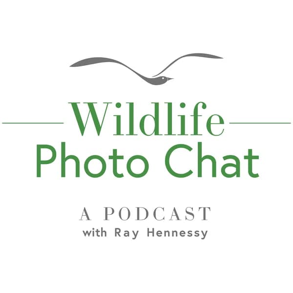 Cover art for Wildlife Photo Chat