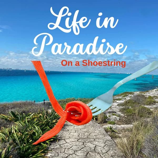 Cover art for Life in Paradise on a Shoestring