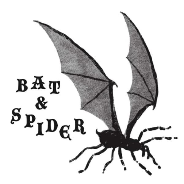Cover art for BAT AND SPIDER