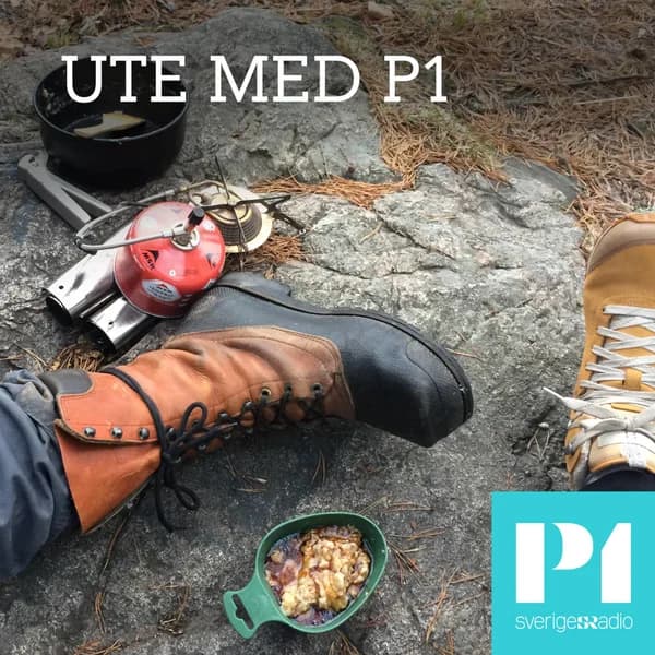 Cover art for Ute med P1