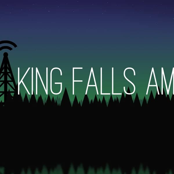 Cover art for King Falls AM