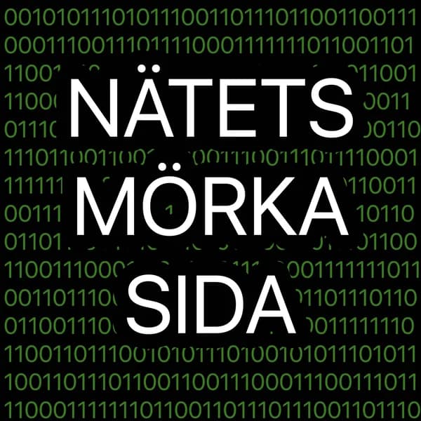 Cover art for Nätets mörka sida
