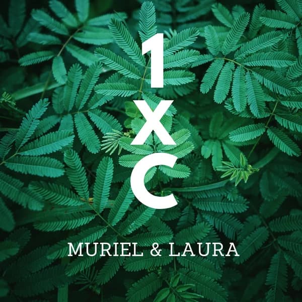 Cover art for 1XC - Go for the Challenge