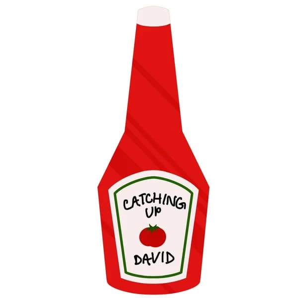 Cover art for Catching Up David