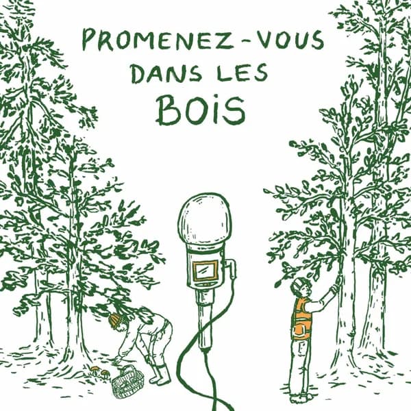Cover art for Promenez-vous dans les bois