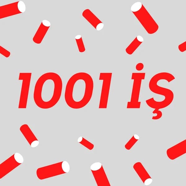 Cover art for 1001 İş