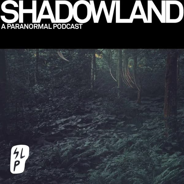 Cover art for Shadowland