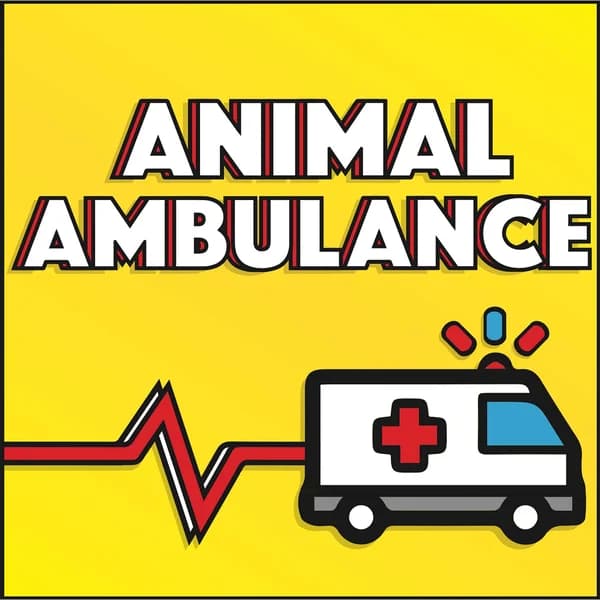 Cover art for Animal Ambulance