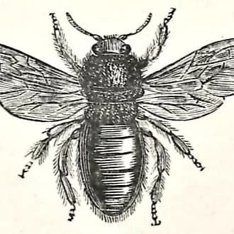 Cover art for Science Fiction Meets Natural History