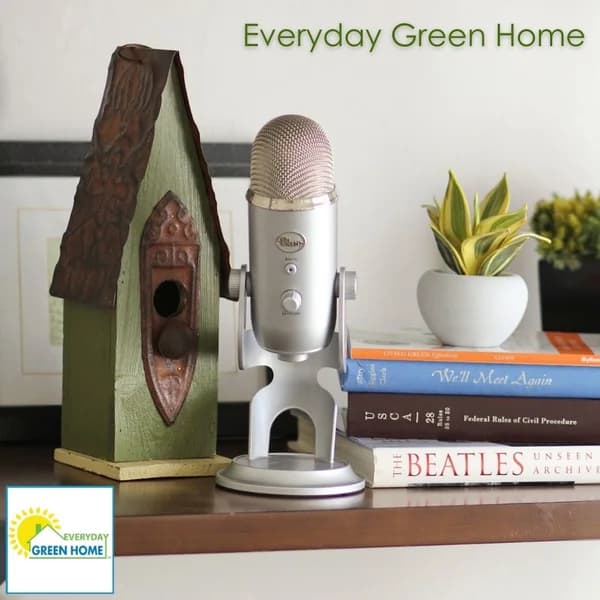 Cover art for Everyday Green Home