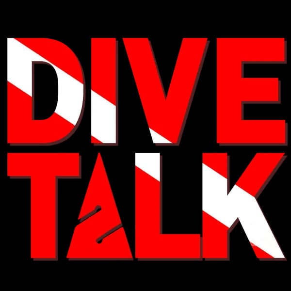 Cover art for DIVE TALK