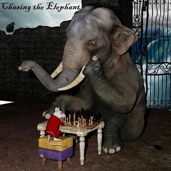 Cover art for Chasing the Elephant