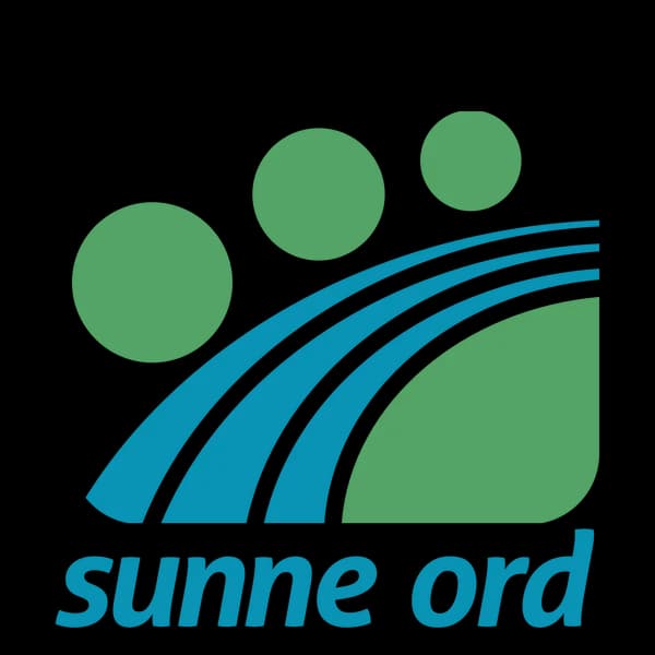 Cover art for Sunne ord: Hjalmar Berg Hansen
