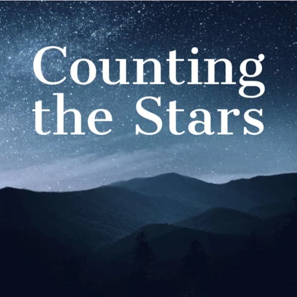 Cover art for Counting the Stars
