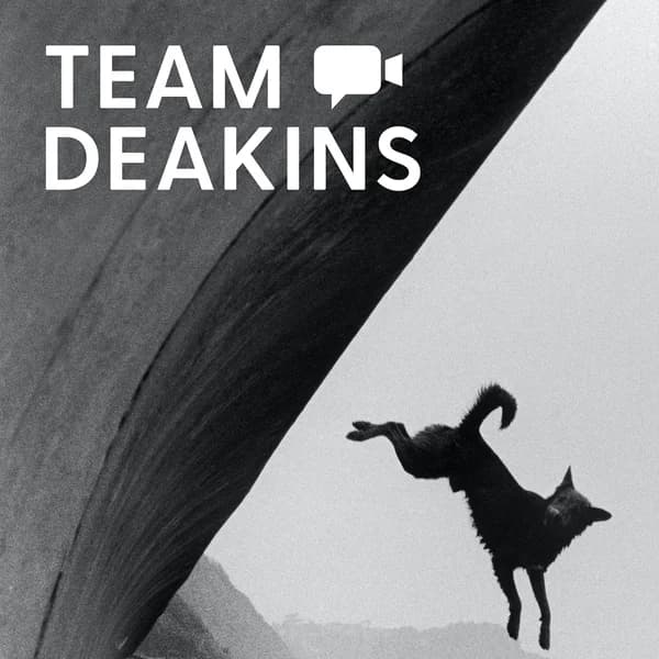 Cover art for Team Deakins