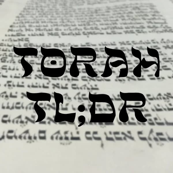 Cover art for Rabbi_360