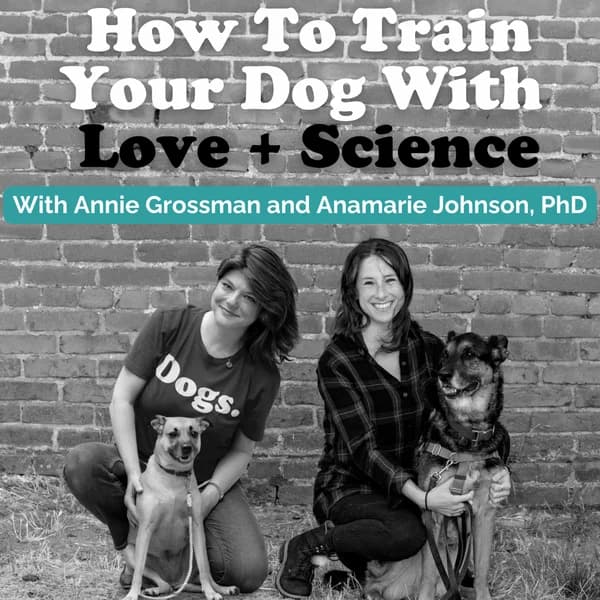 Cover art for How To Train Your Dog With Love + Science - Dog Training with Annie Grossman + Anamarie Johnson PhD (Formerly known as School For The Dogs Podcast)