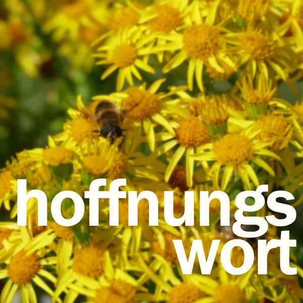 Cover art for Hoffnungswort - Predigten von Pfarrer Andreas Roß
