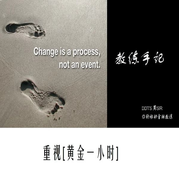 Cover art for DDTS 周SIR
