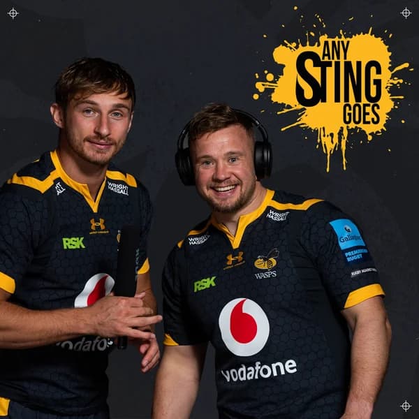 Cover art for Any Sting Goes