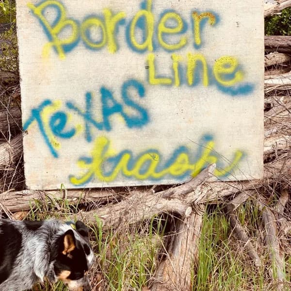 Cover art for Borderline Texas Trash