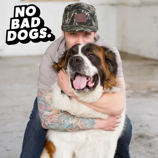 Cover art for No Bad Dogs Podcast