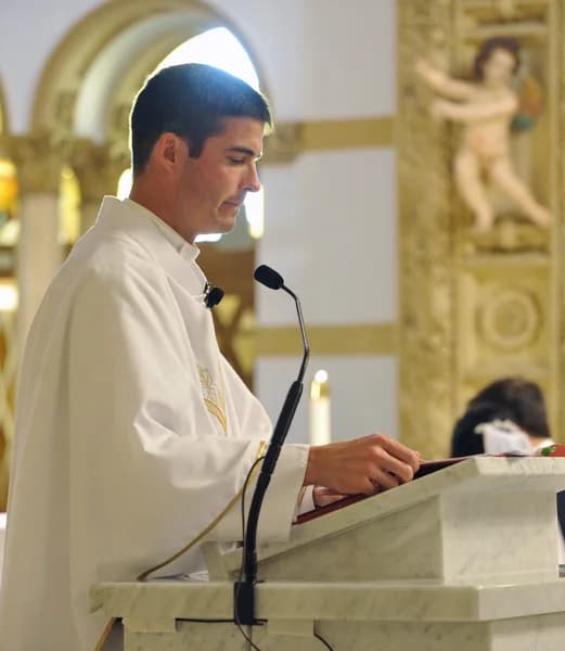Cover art for The Truth in Love:  Homilies & Reflections by Fr. Stephen Dardis