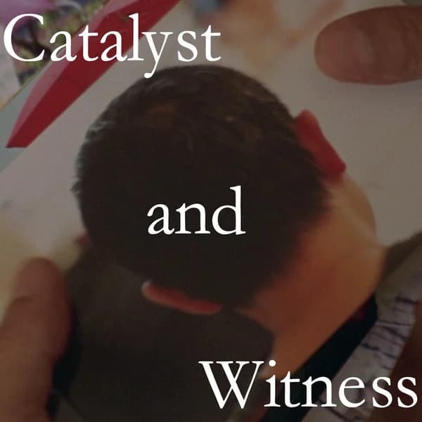 Cover art for Catalyst and Witness