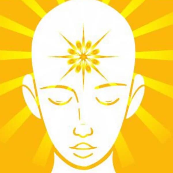 Cover art for O SOL