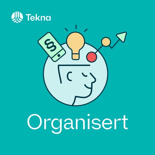 Cover art for Organisert