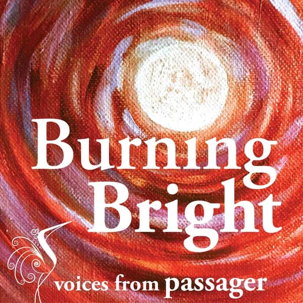Cover art for Burning Bright