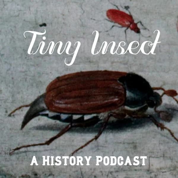 Cover art for Tiny Insect