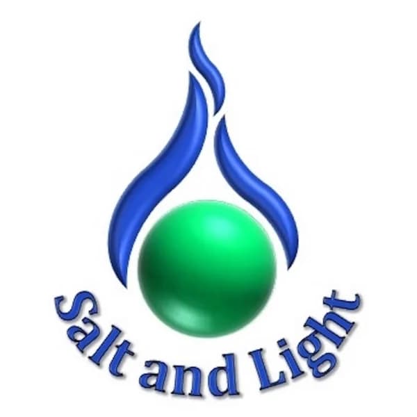Cover art for Salt and Light
