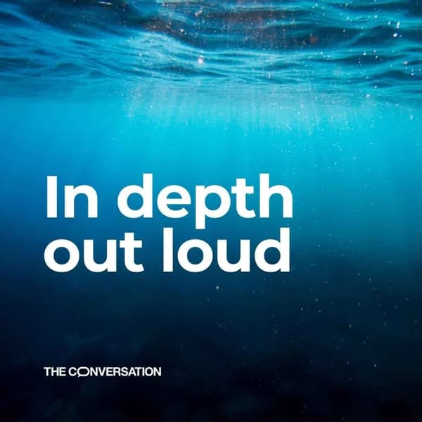 Cover art for In Depth, Out Loud