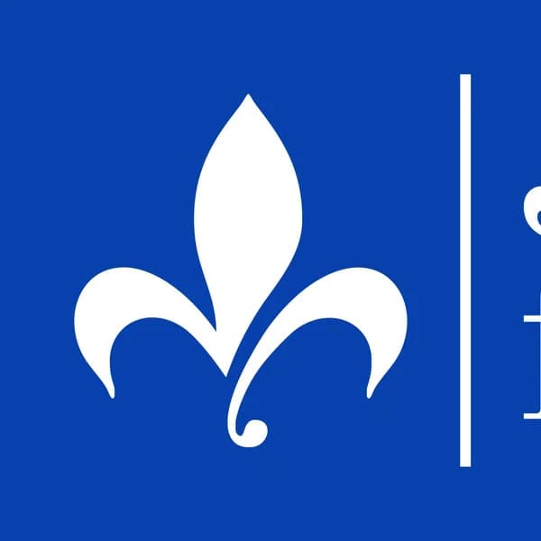 Cover art for Jaser français