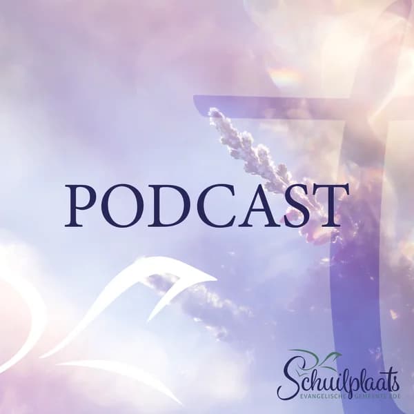 Cover art for Podcast de Schuilplaats