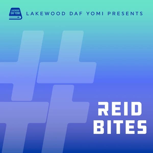 Cover art for Lakewood Daf Yomi #DafBySruly Reid Bites
