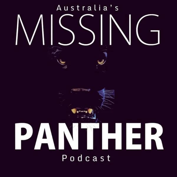 Cover art for Missing Panther