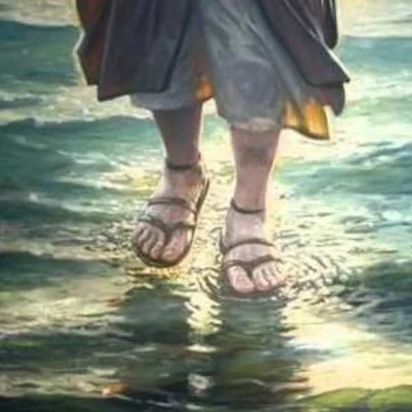 Cover art for Meditaciones. Padre Eduardo Volpacchio